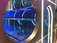 -鱼酷活鱼烤鱼(恒隆广场店)