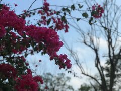 -海珠湖公园