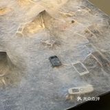 jio趾头疯狂越狱的一天
