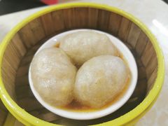 -肥佬夜茶(早茶·西乡店)