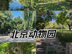 -北京动物园