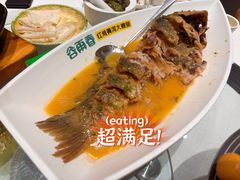 -阿五黄河大鲤鱼(纬三路店)