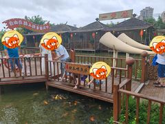 -一煲鸽