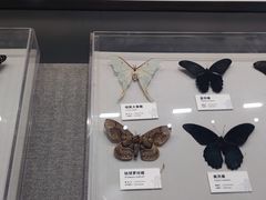 -四川大学博物馆