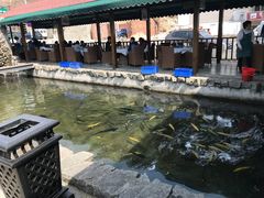 -京北渔家傲