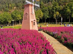 -顺峰山公园
