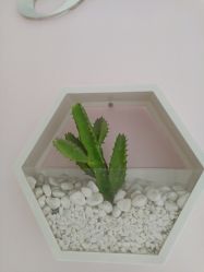 -厦门美莱整形美容医院