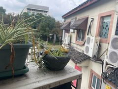 -红小满休闲餐厅(十全街店)