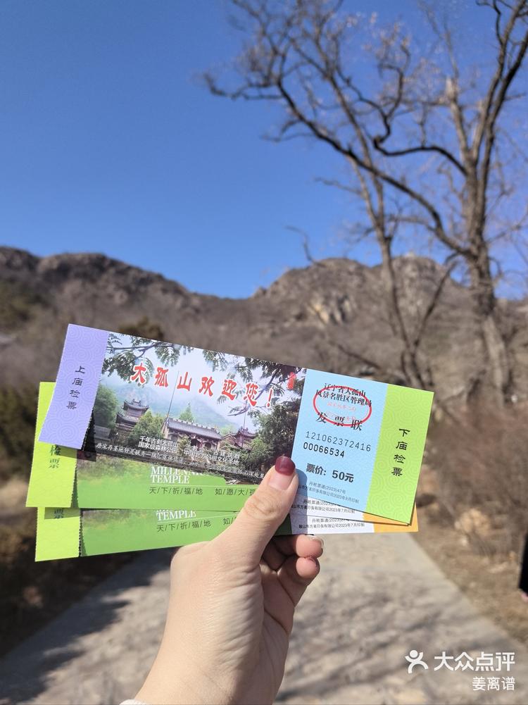 4月3日 19:18 关注 东北最灵寺庙 ##0元玩转这座城 《丹东大孤山》