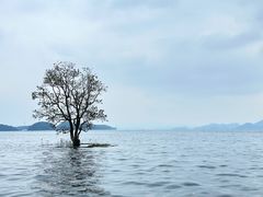 -庐山西海主景区