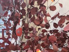 -丽泽山庄·生态怀柔菜·虹鳟鱼(红螺寺店)