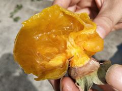 -平西抗日烈士陵园