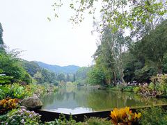 -深圳仙湖植物园