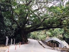 -广州市石门国家森林公园