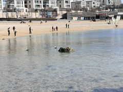 -石槽海滨浴场