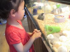 -鸿通城购物中心