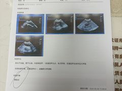 -瑞鹏宠物医院·骨外科·心肾科·肿瘤科(九亭店)