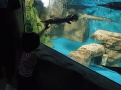 -泉州海丝野生动物世界