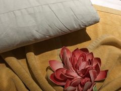 -富侨养生(康乾店)