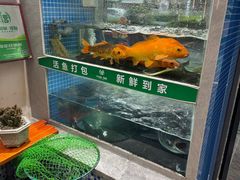 -全乐鱼馆·淳牌有机鱼直营店