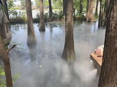 -东湖落雁景区