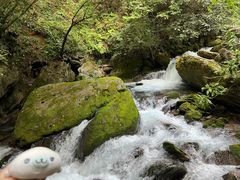 -神农架香溪源景区