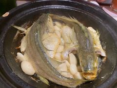 金榜黄花鱼-恭喜上堓砂锅焗·海鲜大排档(闵行龙湖店)