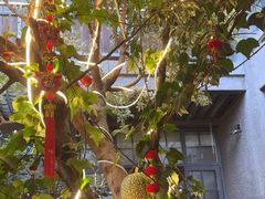 -海韵人家.海景花园经典云南菜(双廊店)