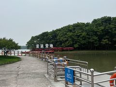 -上海海湾国家森林公园