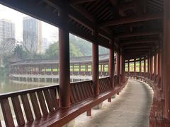 -龙头寺公园