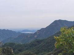 -大岭沟猕猴桃谷风景区