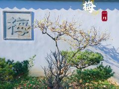 -无锡梅园公园