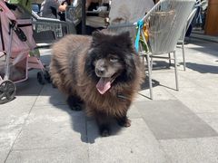 -RAC BAR(安福路店)