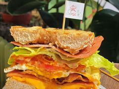 -Catch Bagel(芳草地店)