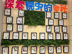-伊藤洋华堂(温江店)