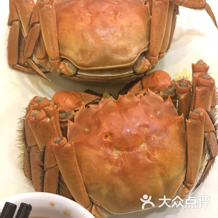 青浦龙岛大酒店特色菜图片