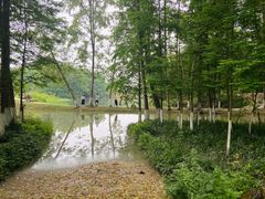 -桤木河湿地公园