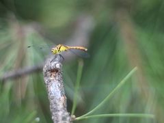 -熙古里艺术村