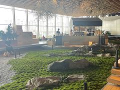 -Seesaw Coffee(朝阳大悦城店)