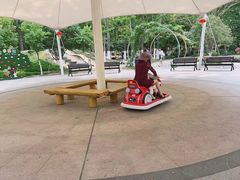 -合肥滨湖国家森林公园