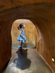 -Zoolung Zoolung动物主题公园(海信广场店)