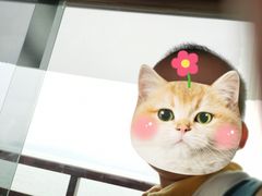-西湖游船