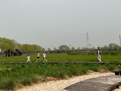 -永定河休闲森林公园