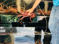-真浪花园海鲜餐馆