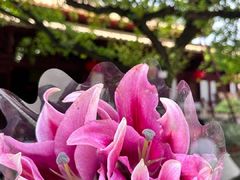 -光孝寺