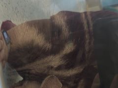 -瑞派康怡24h宠物医院·犬猫医疗中心·微创绝育(瑞景分院)