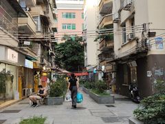 -晓港公园