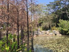 -荔湾湖公园