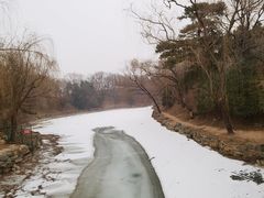 -颐和园