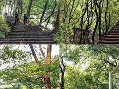 -道教老君洞